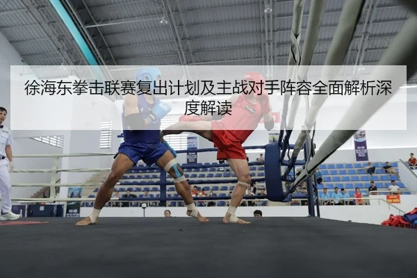 徐海东拳击联赛复出计划及主战对手阵容全面解析深度解读